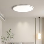 Ceiling Lamp Manufacturer - Simple Waterproof Mosquito-resistant Small