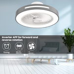 Ceiling Fan with Light Factory - Modern 3-Blade LED DC Motor Dimmable Remote