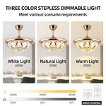 LED Ceiling Fan Light Manufacturer - Modern Luxury 220V AC DC Motor Remote