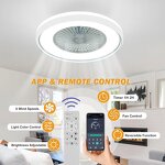 Fandelier Ceiling Fan Factory - Dual-Function LED Light Remote DC Motor