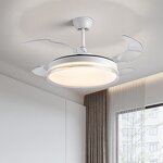 LED Ceiling Fan Light Factory - Modern Nordic Retractable Intelligent