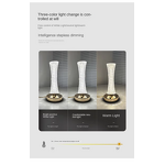 LED Table Lamp Factory - 2024 Patent Nordic USB Touch Aluminum Iron