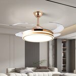 Fan Light Manufacturer - LED Pendant Variable Frequency Remote Control