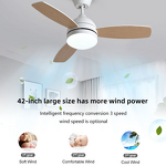 LED Ceiling Fan Manufacturer - 42 Inch DC Motor 3 Wood Blades 6-Speed