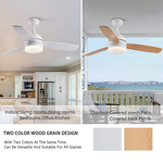 LED Ceiling Fan Manufacturer - 42 Inch DC Motor 3 Wood Blades 6-Speed