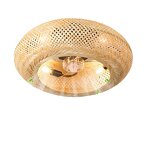 Ceiling Fan Manufacturer - DC Motor Remote 85-220V LED Light Rattan Cage