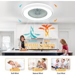 Fandelier Ceiling Fan Factory - Dual-Function LED Light Remote DC Motor