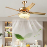 LED Ceiling Fan Manufacturer - Modern 42 Inch Silent Metal Kit Classic