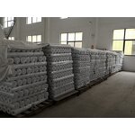 Non Woven Fabric Factory - OEM PA Pes Glue Adhesive Interlining
