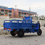 Electric Tricycle Factory - OEM 60V Strong Power Cargo