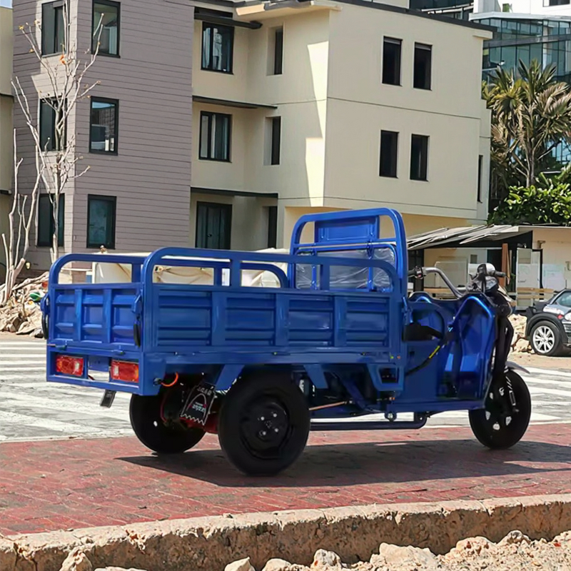 Electric Tricycle Factory - OEM 60V Open Body Cargo Trike