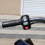 Electric Trike Factory - OEM Wholesale 3 Wheel Cargo Trike