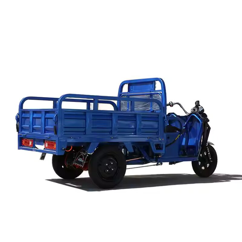 Electric Motorcycle Factory - OEM 3 Wheel Tricycle for Adults