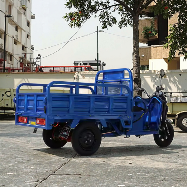 Electric Tricycle Factory - OEM High Quality Cargo Trike