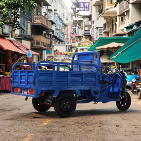 Electric Motorcycle Factory - OEM 3 Wheel Bike for Adults