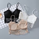 Crop Top Factory - OEM Women Lace Wireless Bra Camisole