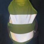 Pet Vest Factory - OEM High Visibility Polyester Day Night