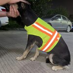 Dog Vest Factory - OEM Factory Direct High Visibility Reflective
