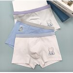 Boy's Underwear Factory - OEM Wholesale Four-Piece Printed