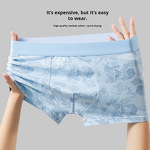 Boxer Briefs Factory - OEM High-End Printed Antibacterial Cotton