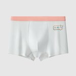 Boxer Briefs Factory - OEM New Fashion Men's Sexy Mid-Rise