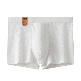 Cotton Boxer Briefs Factory - OEM Spandex Logo on Waist