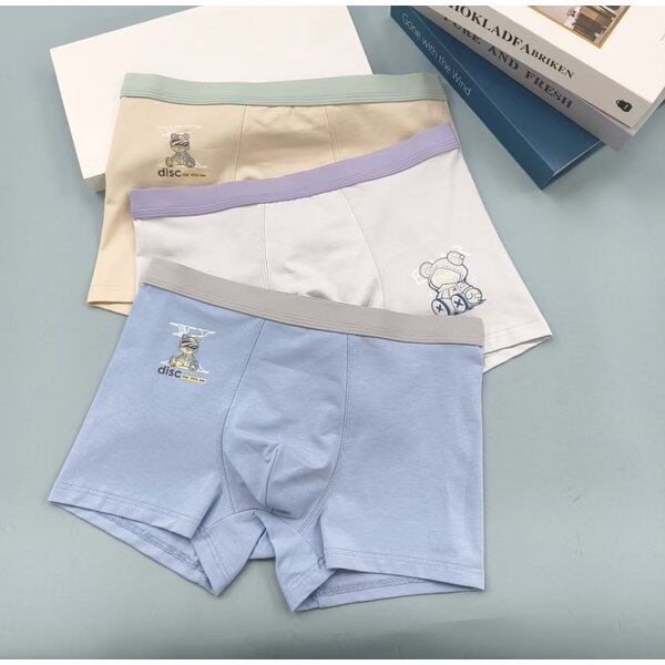 Boy's Underwear Factory - OEM Wholesale Four-Piece Printed