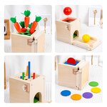 Montessori Toys Factory - OEM 4-in-1 Coin Box Matching