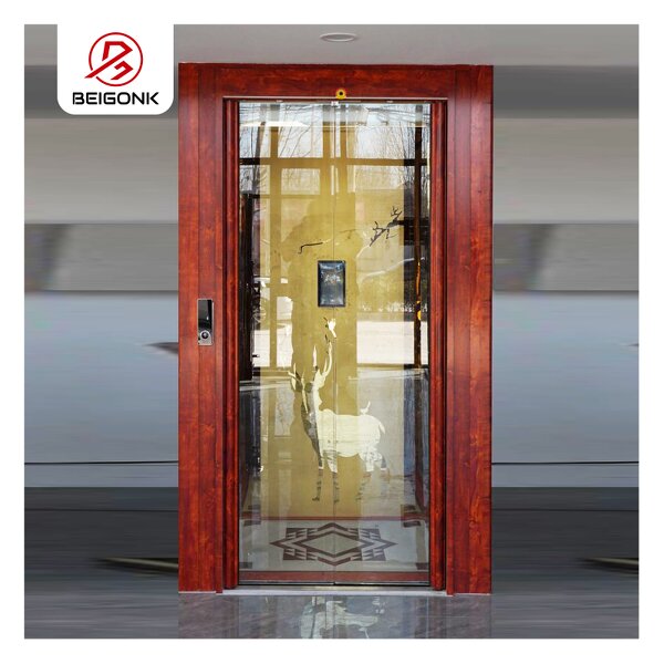 Home Elevator Factory - OEM 200kg Hydraulic Residential