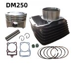 Motorcycle Cylinders Manufacturer - DM250 67MM Cylinder Piston Complete Kit
