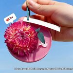 Home Fragrance Manufacturer - Wardrobe Aromatherapy Wax Pieces Lasting