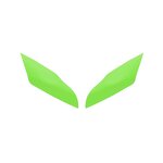 Motorcycle Protection Manufacturer - Kawasaki Ninja ZX-10R Headlight Film