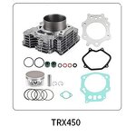 Motorcycle Cylinders Manufacturer - HERO XPULSE 200 Cylinder Piston Kit