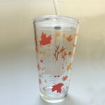Children's Cups Manufacturer - Red Cartoon Glass Straw Cup Stainless Lid
