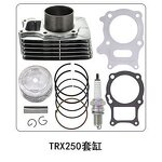 Motorcycle Cylinders Manufacturer - HERO XPULSE 200 Cylinder Piston Kit