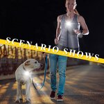 Running Lights Factory - OEM Outdoor Night Clip