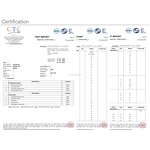 Heat Resistant Gloves Factory - OEM Polyester Silicone Coated 250C