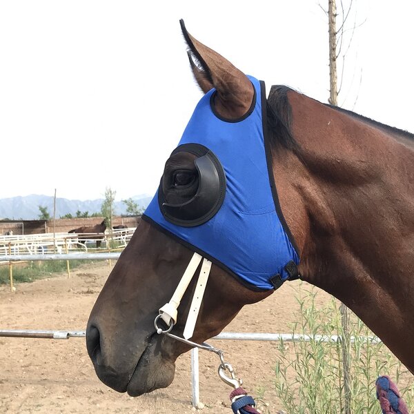 Blinker Hood Supplier - Half Cup Racing Fly Mask Factory