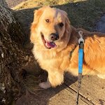 Snap Clip Factory - Rubber Coated Brass Swivel Supplier