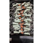 Horse Bit Factory - Silver Mouth Snaffle Riding Bits