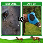 Horse Fly Boots Set Manufacturer - 4PC Boots 1PC Mask