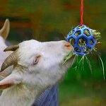Horse Feeder Toy Manufacturer - Slow Feed Ball for Goat Sheep