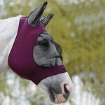 Horse Fly Mask Manufacturer - Lightweight Breathable Veil
