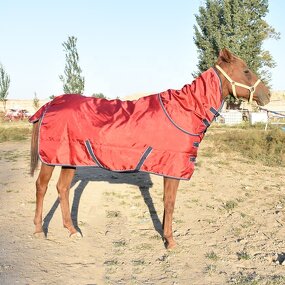 Horse Blanket Manufacturer - Waterproof Turnout Winter Blanket