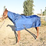 Horse Blanket Manufacturer - Waterproof Turnout Winter Blanket