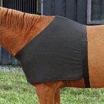 Horse Shoulder Guard Manufacturer - High Elastic Anti Rub Bib
