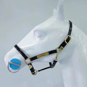 Horse Halter Manufacturer - Adjustable Patent Leather Halter
