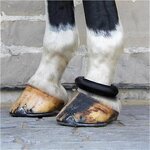 Rubber Sausage Boot Factory - Fetlock Ring Manufacturer