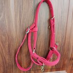 Donkey Bridle Factory - Cotton Webbing Halter Supplier