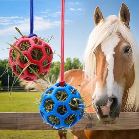 Horse Feeder Toy Manufacturer - Slow Feed Ball for Goat Sheep